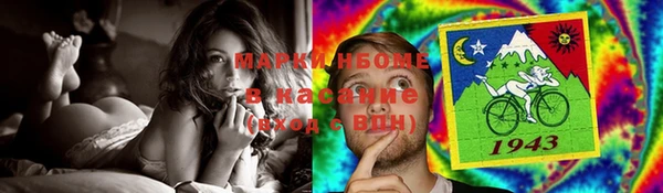 шишки Алзамай