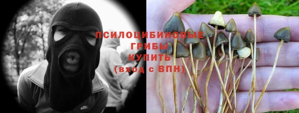 кокс Алексин