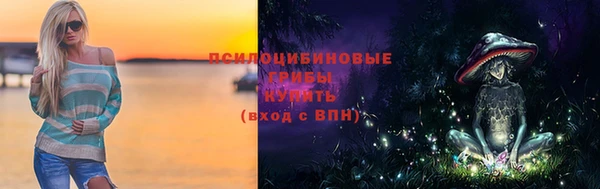 кокс Алексин