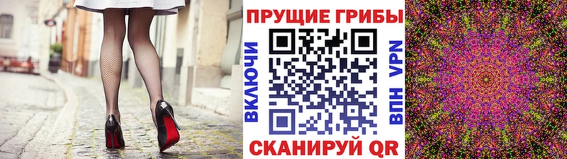 Псилоцибиновые грибы Psilocybe Кимры